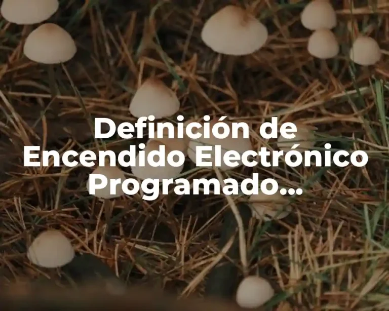 Definición de Encendido Electrónico Programado Automotriz