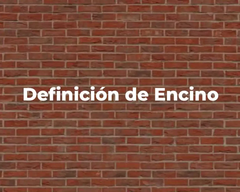 Definición de Encino