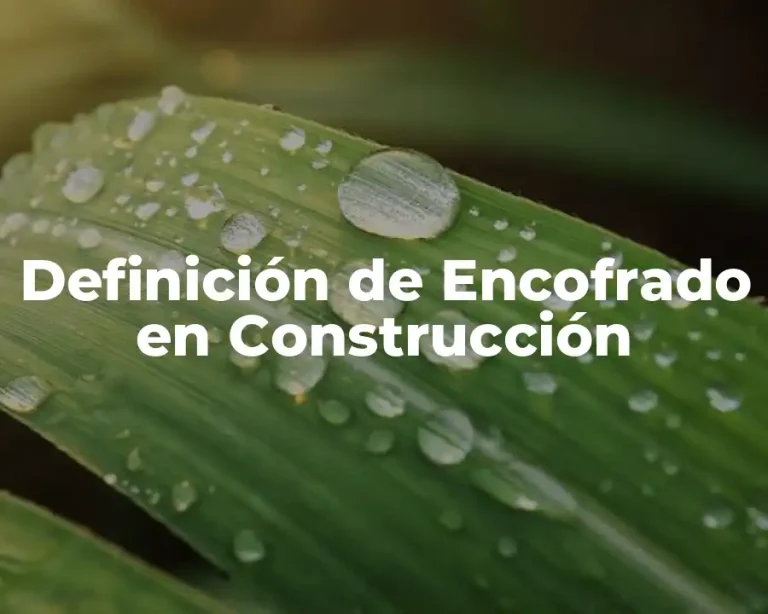 Definición de Encofrado en Construcción