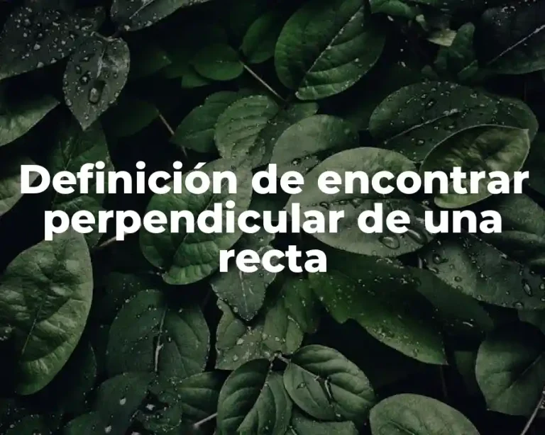 Definición de encontrar perpendicular de una recta