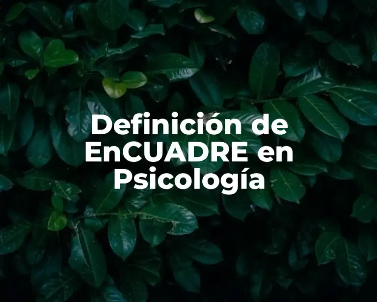 Definición de EnCUADRE en Psicología