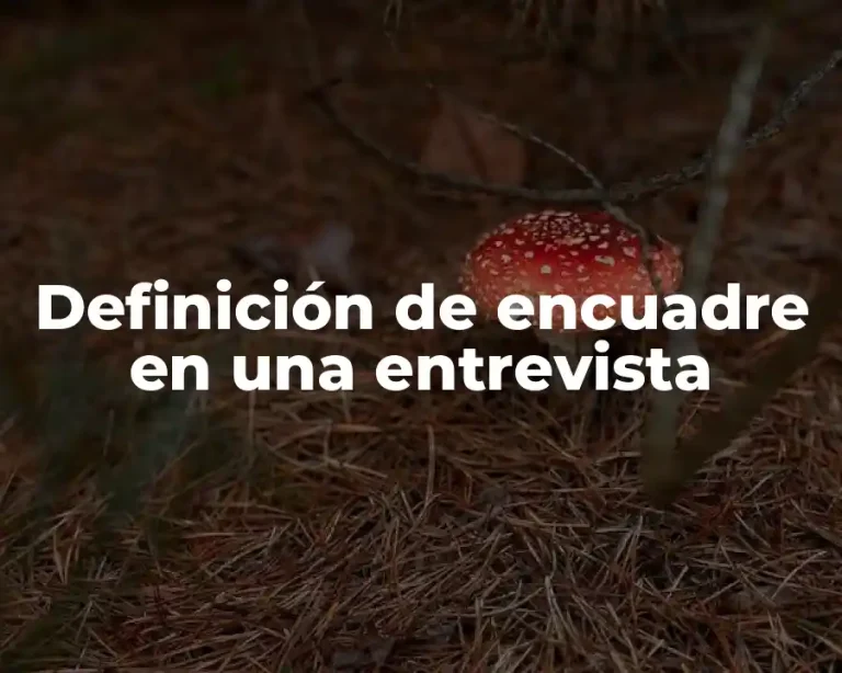 Definición de encuadre en una entrevista