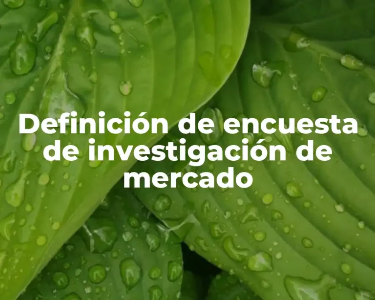 Definición de encuesta de investigación de mercado