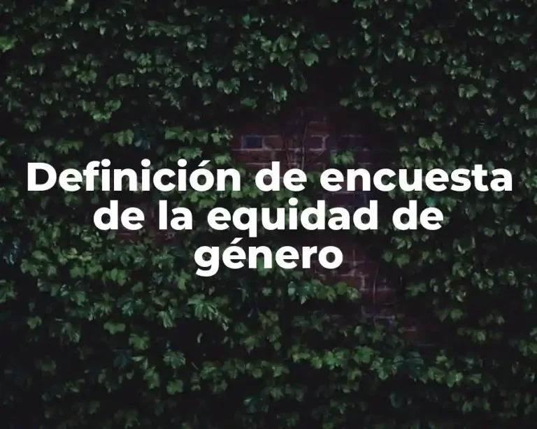 Definición de encuesta de la equidad de género