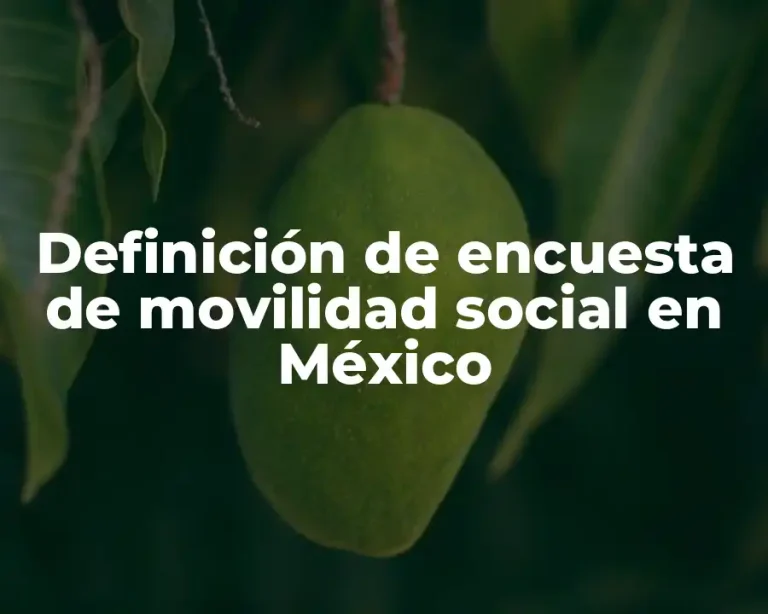 Definición de encuesta de movilidad social en México