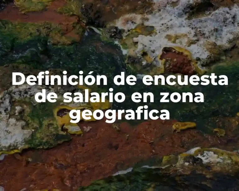 Definición de encuesta de salario en zona geografica