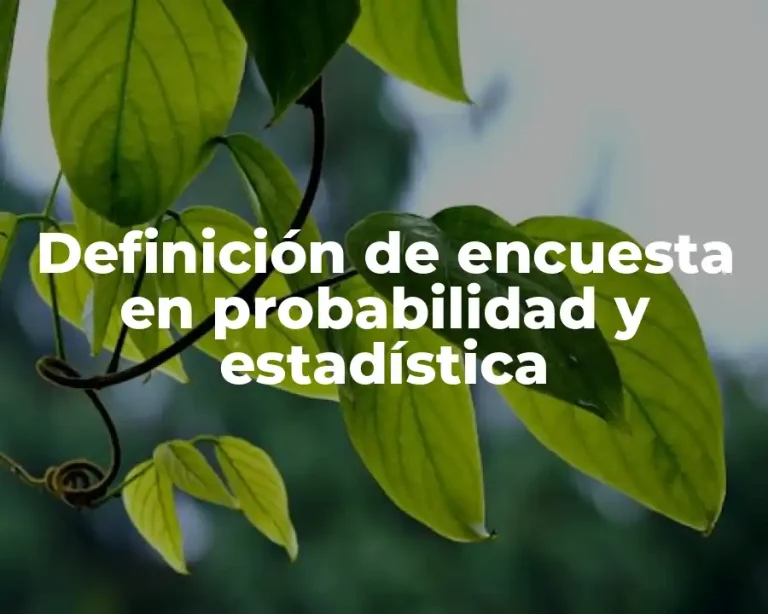Definición de encuesta en probabilidad y estadística