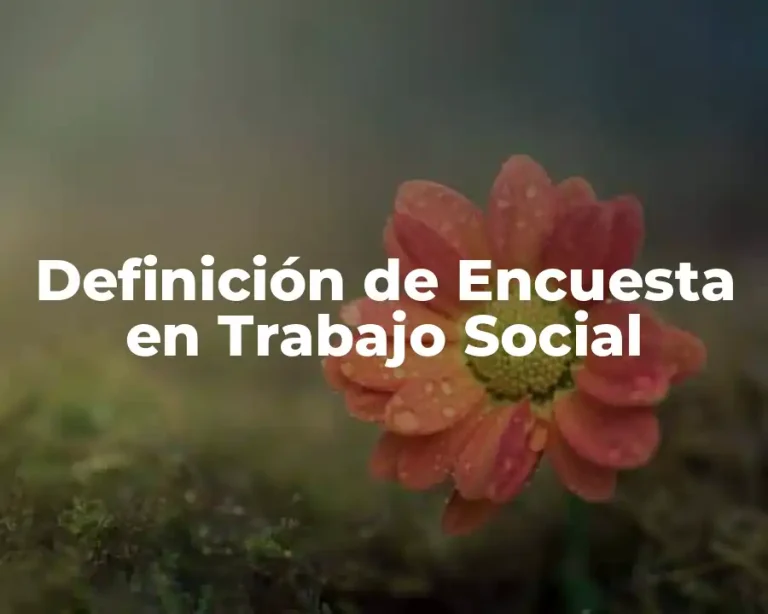 Definición de Encuesta en Trabajo Social
