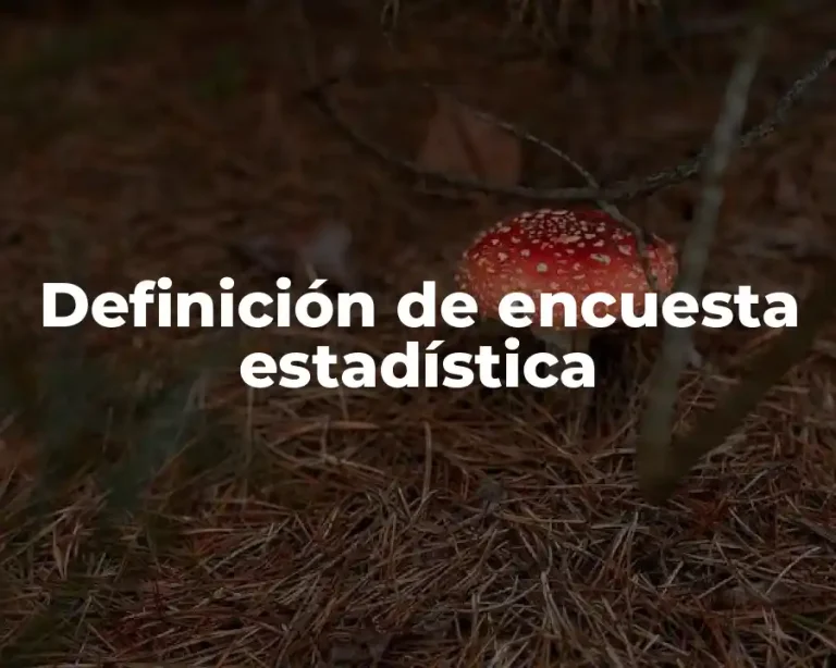Definición de encuesta estadística