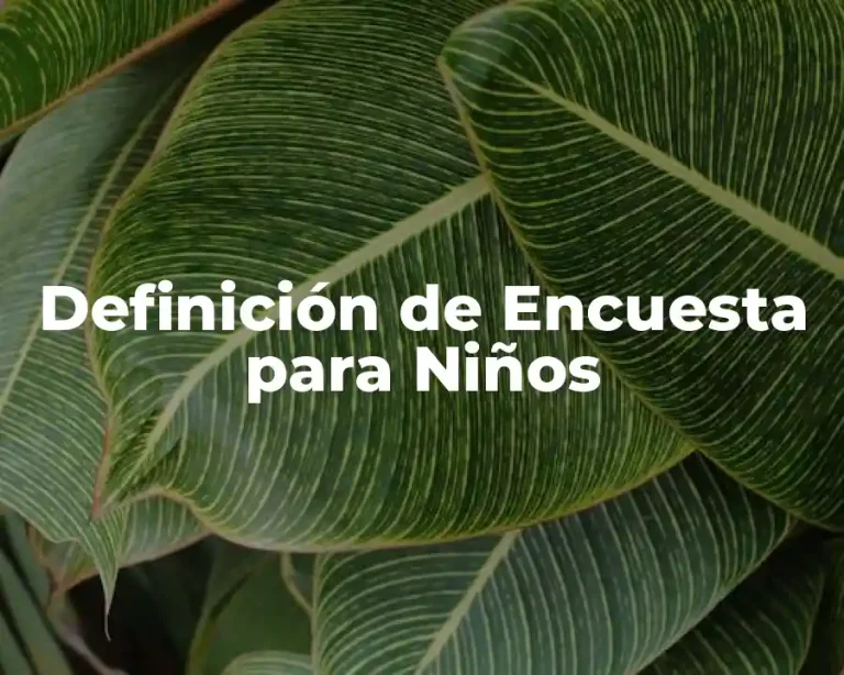 Definición de Encuesta para Niños