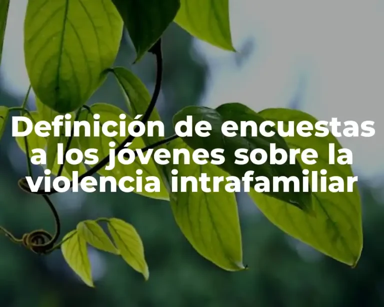 Definición de encuestas a los jóvenes sobre la violencia intrafamiliar