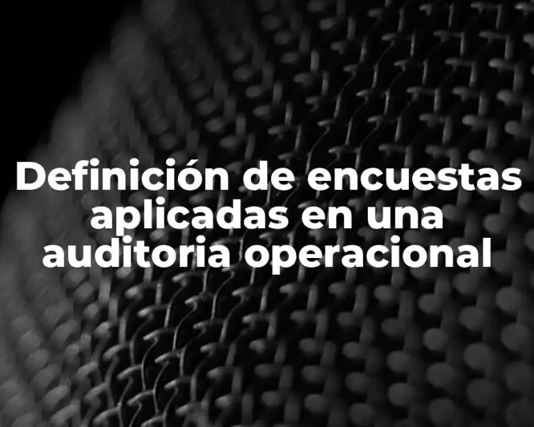 Definición de encuestas aplicadas en una auditoria operacional