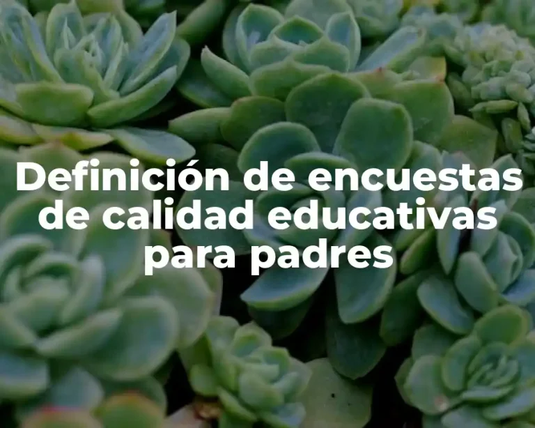 Definición de encuestas de calidad educativas para padres