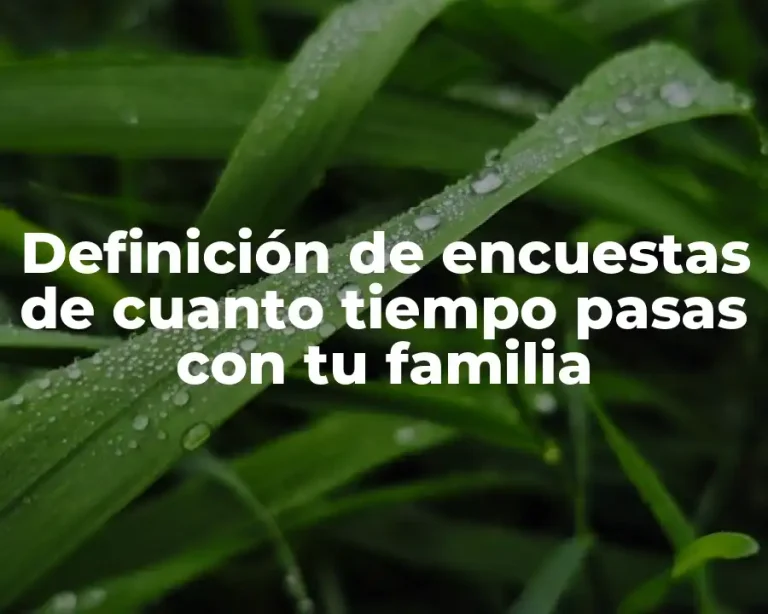 Definición de encuestas de cuanto tiempo pasas con tu familia