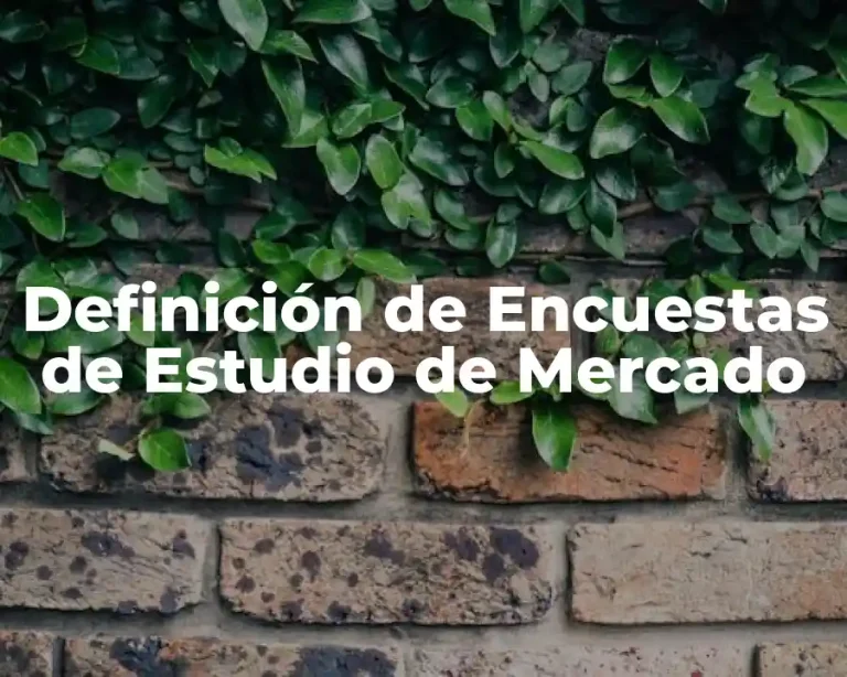 Definición de Encuestas de Estudio de Mercado