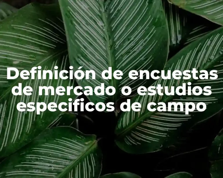 Definición de encuestas de mercado o estudios especificos de campo