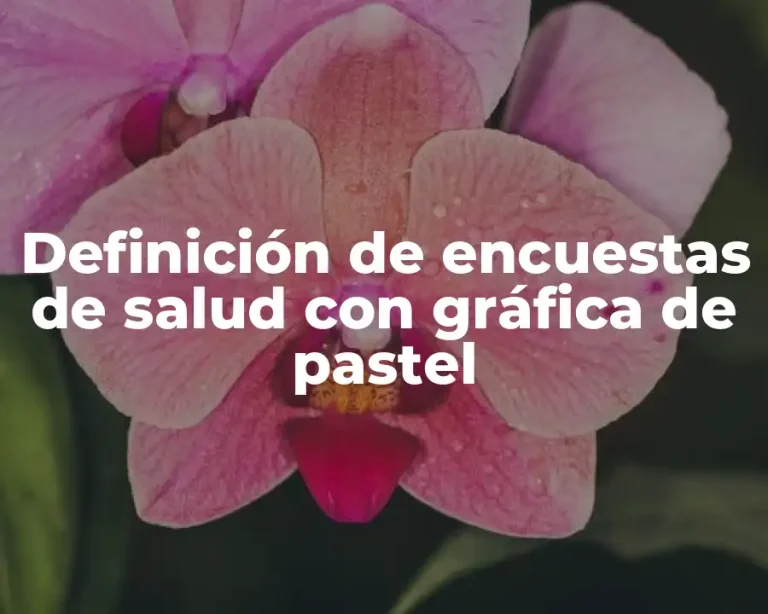 Definición de encuestas de salud con gráfica de pastel