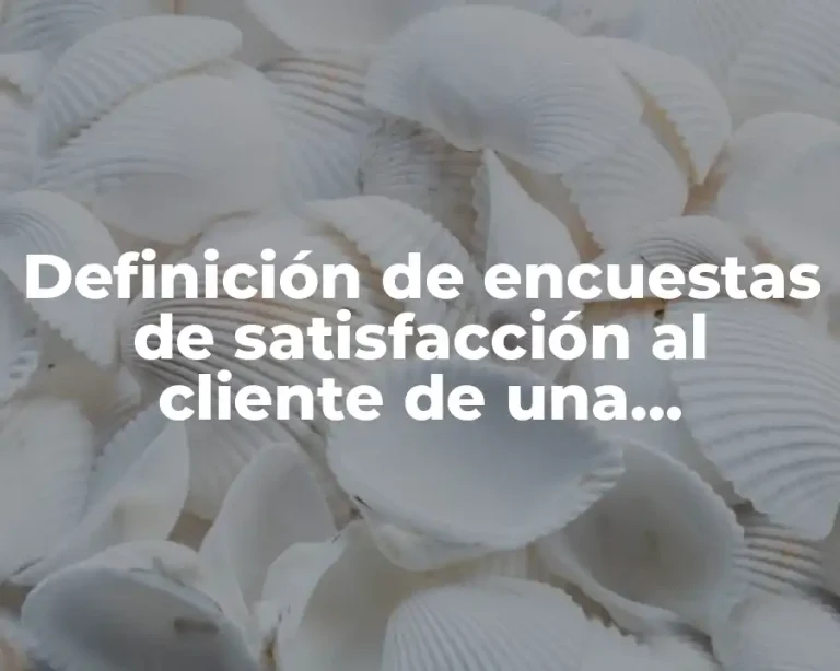 Definición de encuestas de satisfacción al cliente de una inmobiliaria