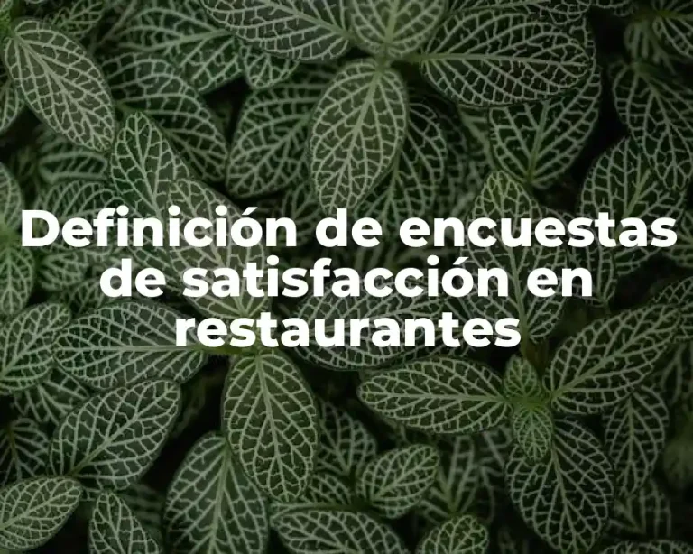 Definición de encuestas de satisfacción en restaurantes