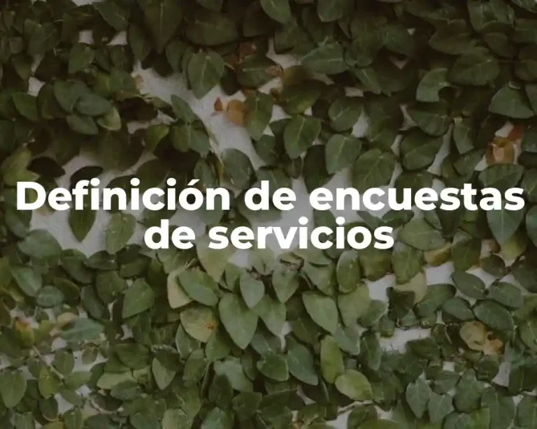 Definición de encuestas de servicios
