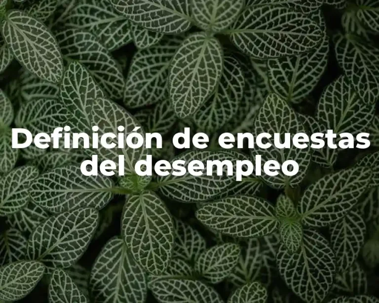 Definición de encuestas del desempleo