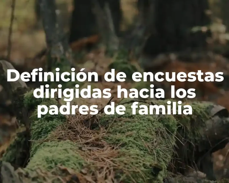 Definición de encuestas dirigidas hacia los padres de familia