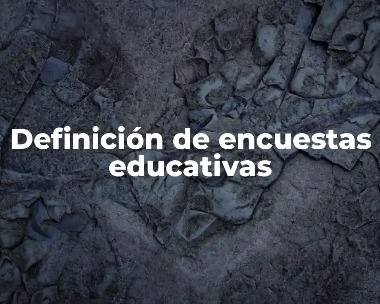 Definición de encuestas educativas