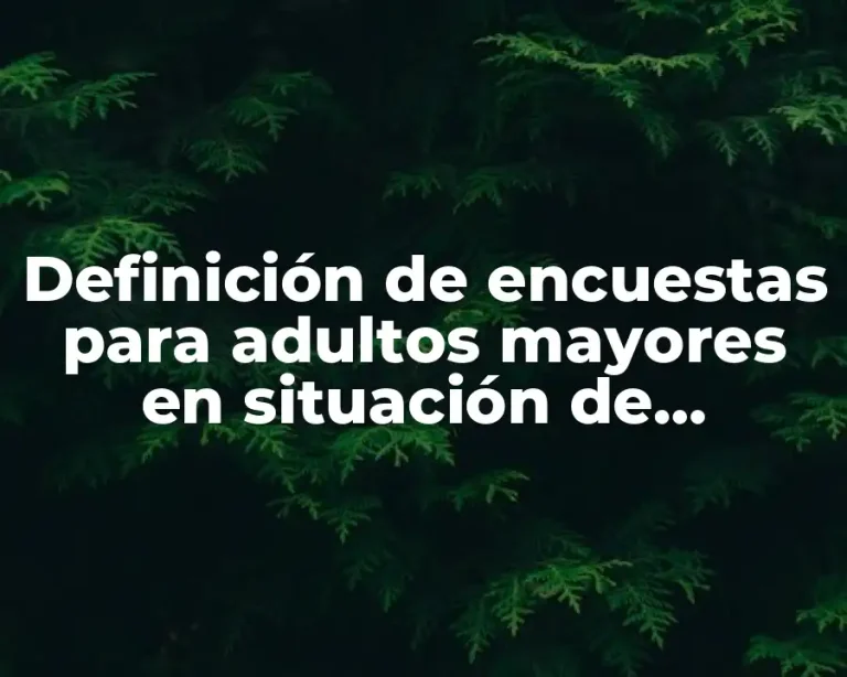 Definición de encuestas para adultos mayores en situación de abandono