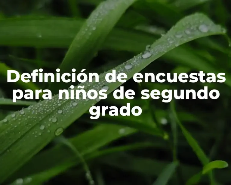 Definición de encuestas para niños de segundo grado