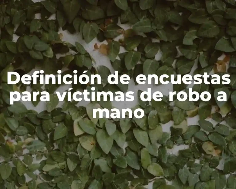 Definición de encuestas para víctimas de robo a mano