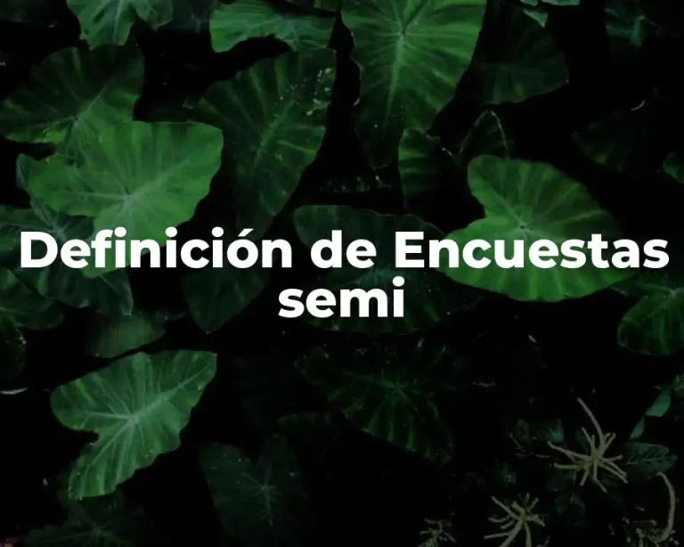 Definición de Encuestas semi
