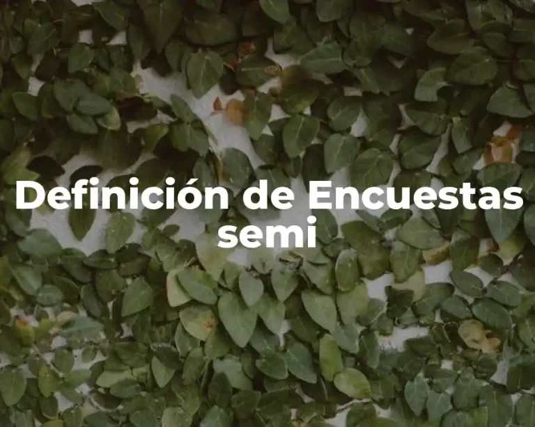 Definición de Encuestas semi