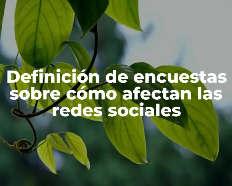 Definición de encuestas sobre cómo afectan las redes sociales