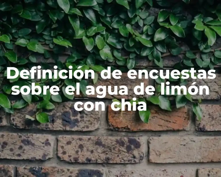 Definición de encuestas sobre el agua de limón con chia