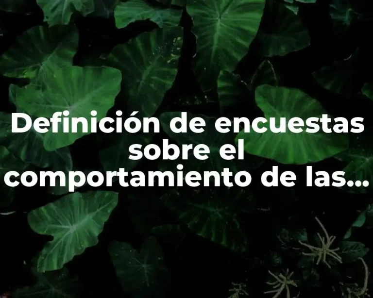 Definición de encuestas sobre el comportamiento de las personas enamoradas