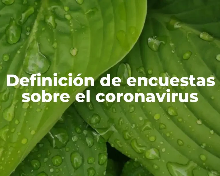 Definición de encuestas sobre el coronavirus