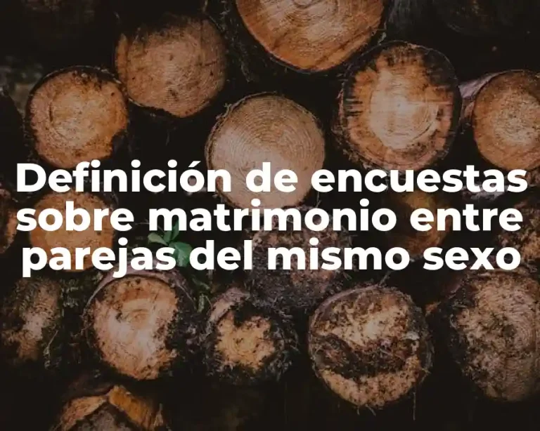 Definición de encuestas sobre matrimonio entre parejas del mismo sexo