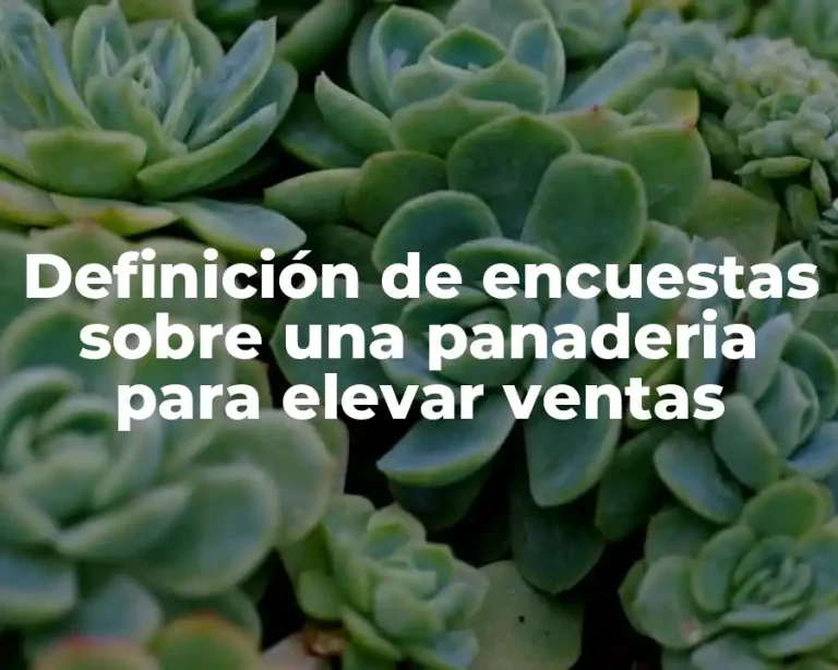 Definición de encuestas sobre una panaderia para elevar ventas