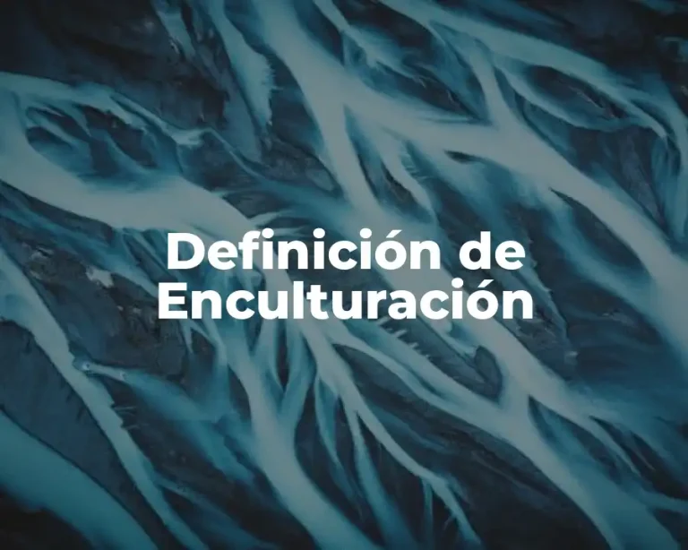 Definición de Enculturación