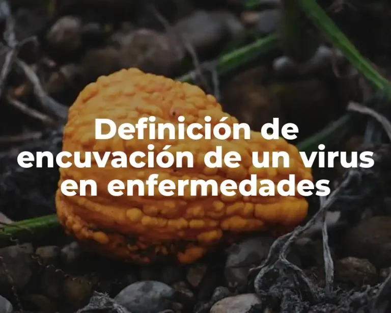 Definición de encuvación de un virus en enfermedades