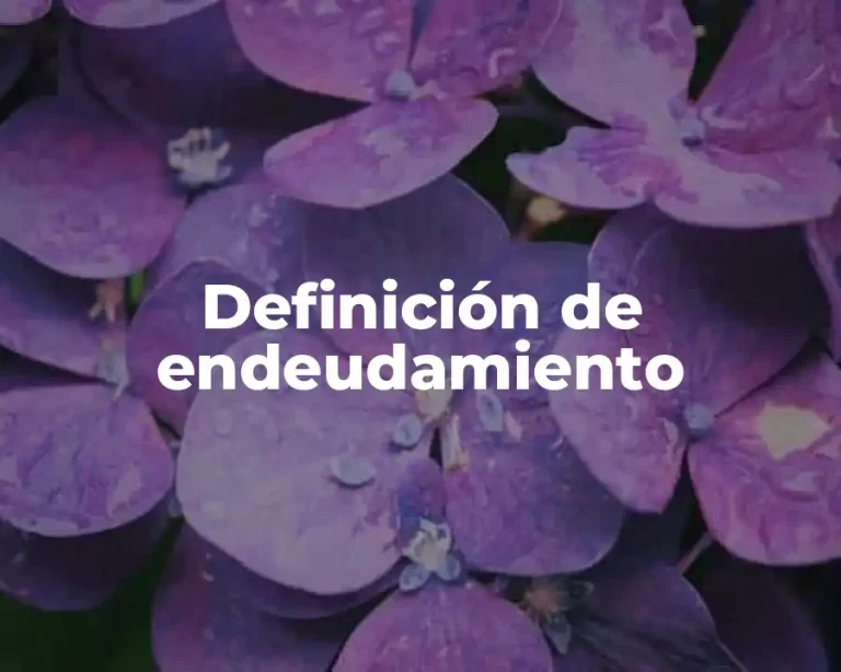Definición de endeudamiento