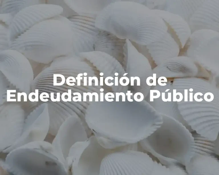 Definición de Endeudamiento Público