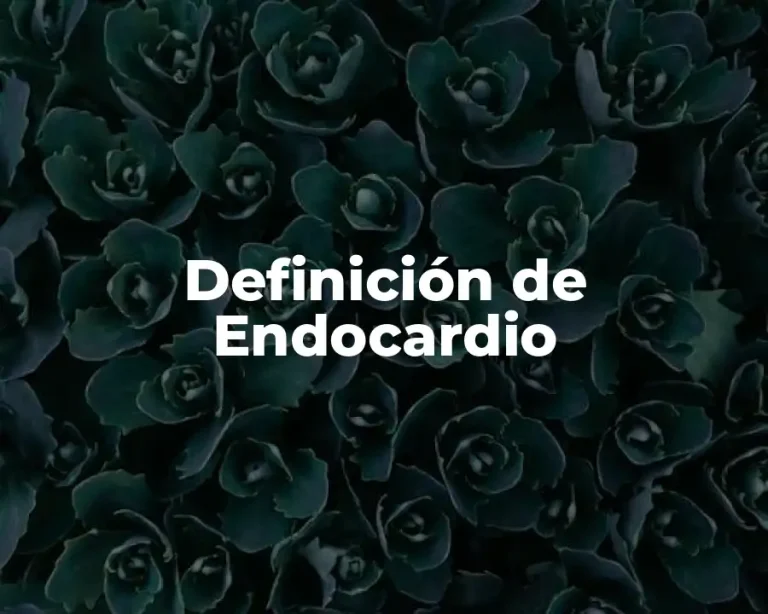 Definición de Endocardio