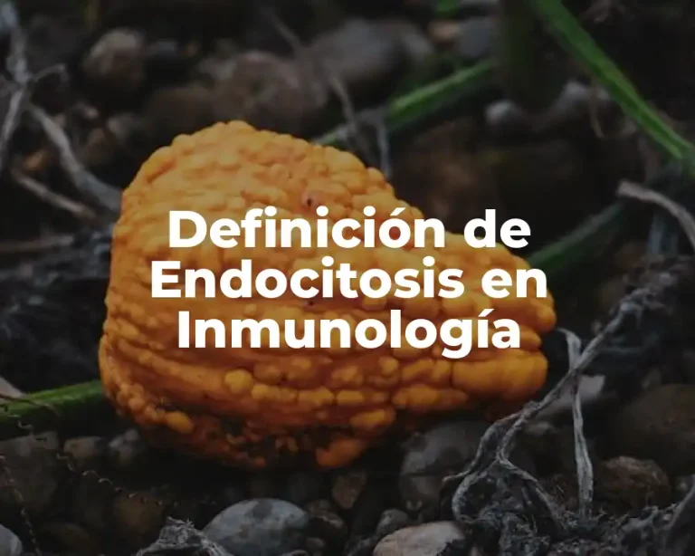 Definición de Endocitosis en Inmunología