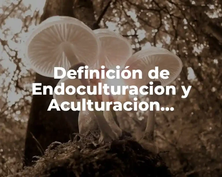 Definición de Endoculturacion y Aculturacion, Transculturacion y Enculturacion