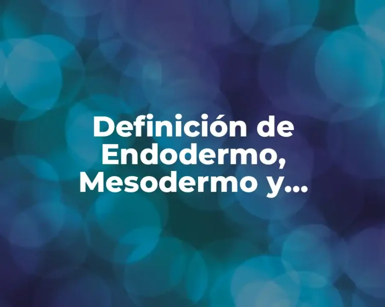 Definición de Endodermo, Mesodermo y Ectodermo