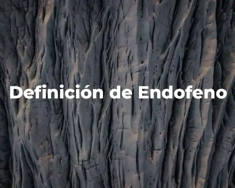Definición de Endofeno