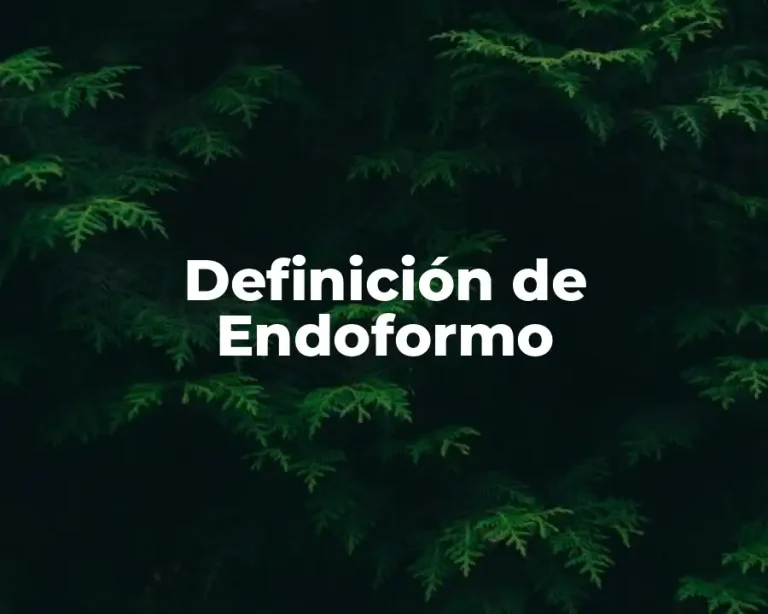 Definición de Endoformo