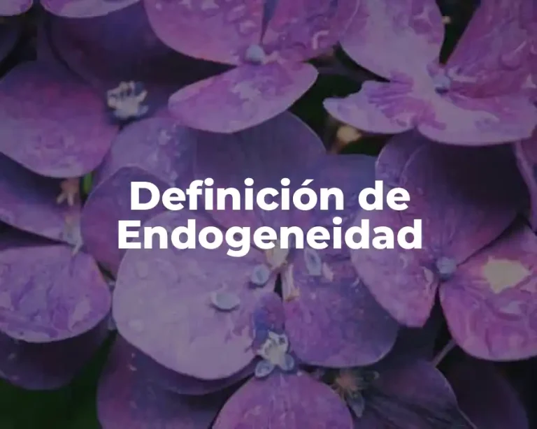 Definición de Endogeneidad