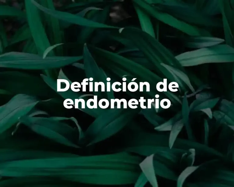 Definición de endometrio